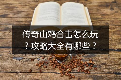 传奇山鸡合击怎么玩？攻略大全有哪些？