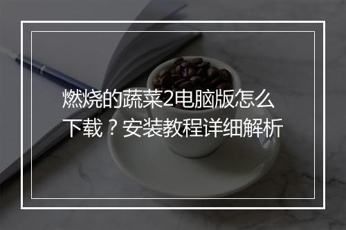 燃烧的蔬菜2电脑版怎么下载？安装教程详细解析