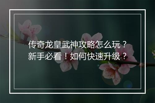 传奇龙皇武神攻略怎么玩？新手必看！如何快速升级？