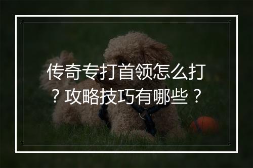 传奇专打首领怎么打？攻略技巧有哪些？