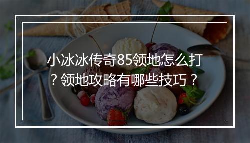 小冰冰传奇85领地怎么打？领地攻略有哪些技巧？