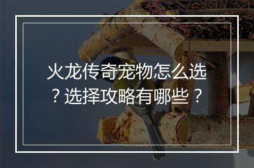 火龙传奇宠物怎么选？选择攻略有哪些？