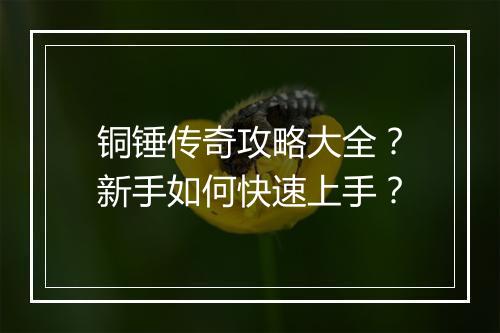 铜锤传奇攻略大全？新手如何快速上手？