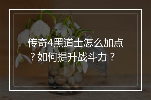 传奇4黑道士怎么加点？如何提升战斗力？
