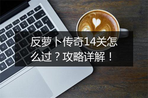 反萝卜传奇14关怎么过？攻略详解！