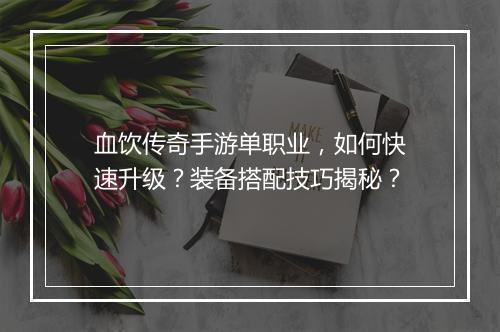 血饮传奇手游单职业，如何快速升级？装备搭配技巧揭秘？