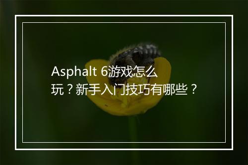 Asphalt 6游戏怎么玩？新手入门技巧有哪些？