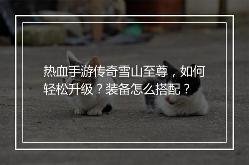 热血手游传奇雪山至尊，如何轻松升级？装备怎么搭配？