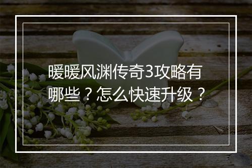 暖暖风渊传奇3攻略有哪些？怎么快速升级？