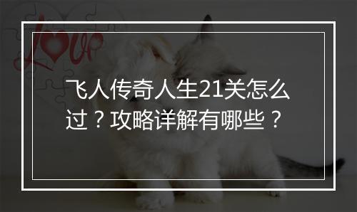 飞人传奇人生21关怎么过？攻略详解有哪些？