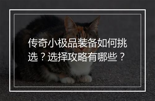 传奇小极品装备如何挑选？选择攻略有哪些？