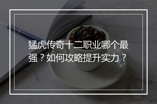 猛虎传奇十二职业哪个最强？如何攻略提升实力？