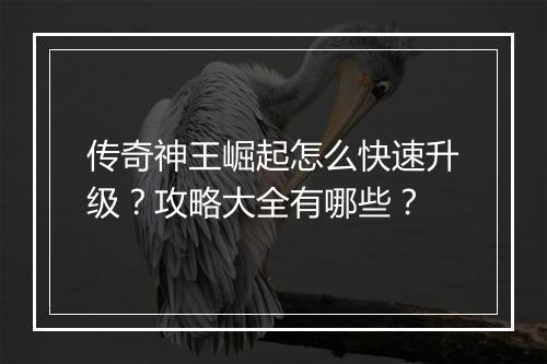 传奇神王崛起怎么快速升级？攻略大全有哪些？