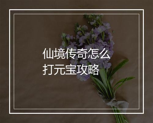 仙境传奇怎么打元宝攻略