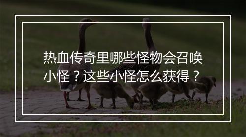 热血传奇里哪些怪物会召唤小怪？这些小怪怎么获得？