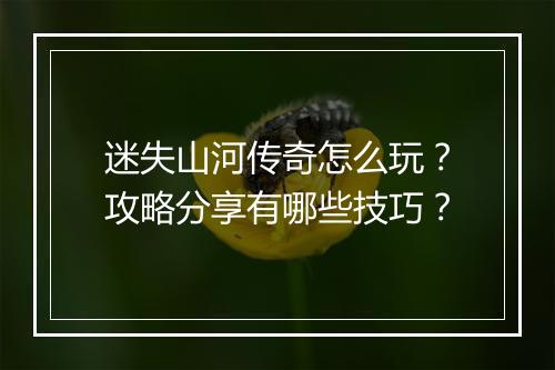 迷失山河传奇怎么玩？攻略分享有哪些技巧？