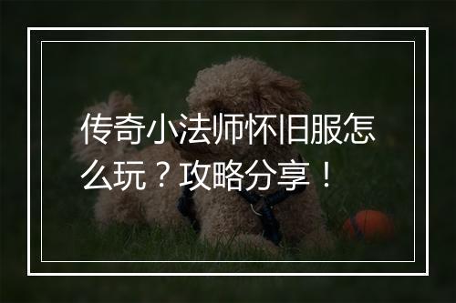 传奇小法师怀旧服怎么玩？攻略分享！