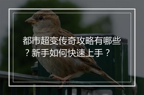 都市超变传奇攻略有哪些？新手如何快速上手？
