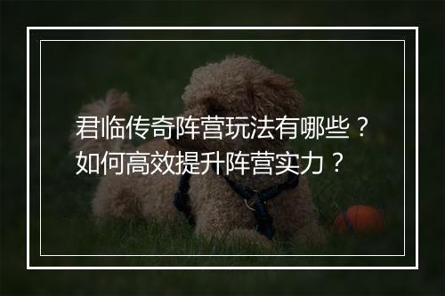 君临传奇阵营玩法有哪些？如何高效提升阵营实力？