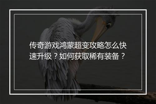 传奇游戏鸿蒙超变攻略怎么快速升级？如何获取稀有装备？