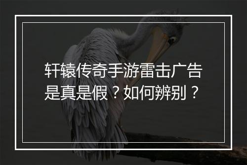 轩辕传奇手游雷击广告是真是假？如何辨别？
