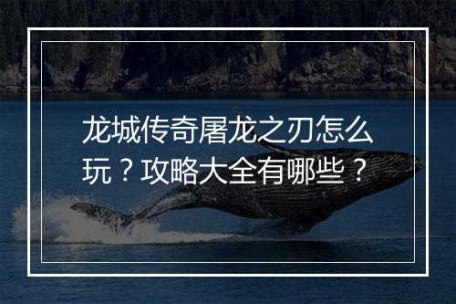 龙城传奇屠龙之刃怎么玩？攻略大全有哪些？