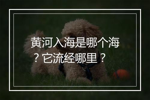 黄河入海是哪个海？它流经哪里？