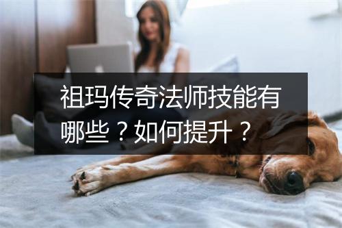 祖玛传奇法师技能有哪些？如何提升？