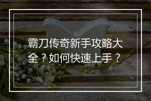霸刀传奇新手攻略大全？如何快速上手？