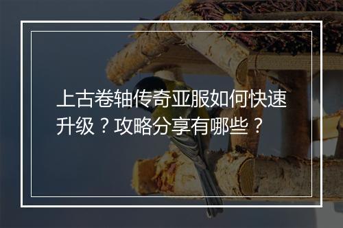 上古卷轴传奇亚服如何快速升级？攻略分享有哪些？