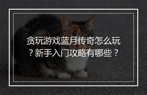 贪玩游戏蓝月传奇怎么玩？新手入门攻略有哪些？
