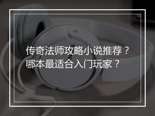 传奇法师攻略小说推荐？哪本最适合入门玩家？