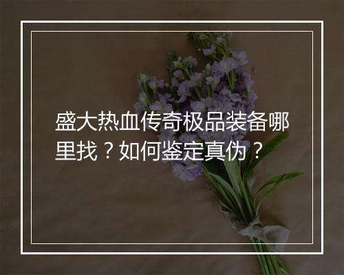 盛大热血传奇极品装备哪里找？如何鉴定真伪？