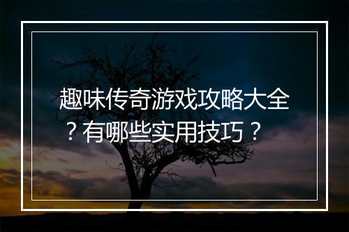 趣味传奇游戏攻略大全？有哪些实用技巧？