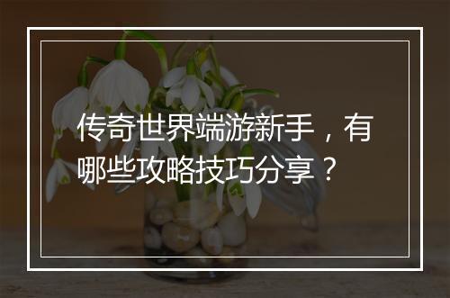 传奇世界端游新手，有哪些攻略技巧分享？