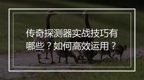 传奇探测器实战技巧有哪些？如何高效运用？