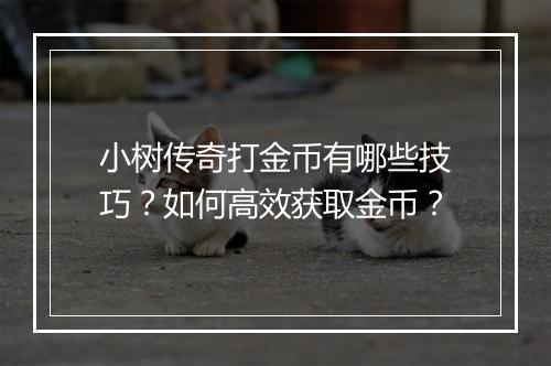 小树传奇打金币有哪些技巧？如何高效获取金币？