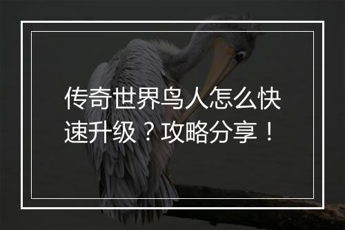 传奇世界鸟人怎么快速升级？攻略分享！
