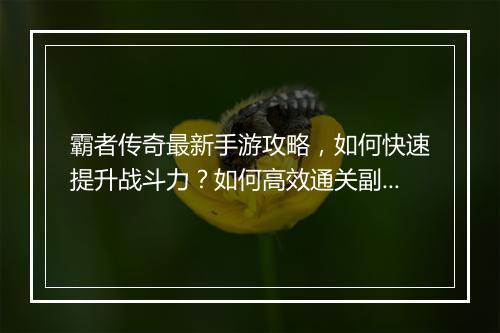 霸者传奇最新手游攻略，如何快速提升战斗力？如何高效通关副本？