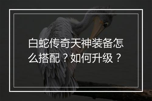 白蛇传奇天神装备怎么搭配？如何升级？