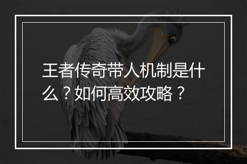 王者传奇带人机制是什么？如何高效攻略？