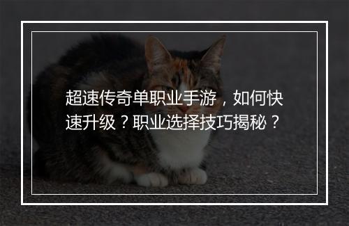 超速传奇单职业手游，如何快速升级？职业选择技巧揭秘？