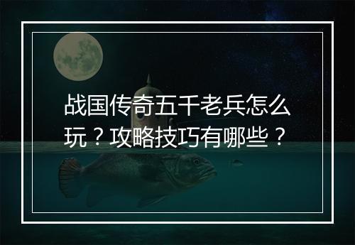 战国传奇五千老兵怎么玩？攻略技巧有哪些？