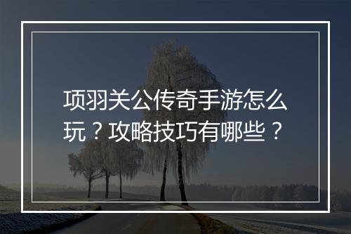 项羽关公传奇手游怎么玩？攻略技巧有哪些？