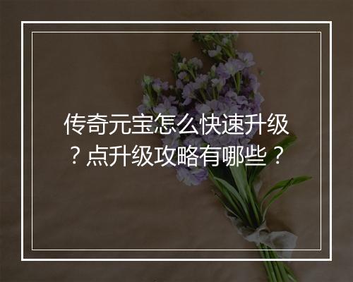 传奇元宝怎么快速升级？点升级攻略有哪些？