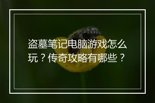 盗墓笔记电脑游戏怎么玩？传奇攻略有哪些？