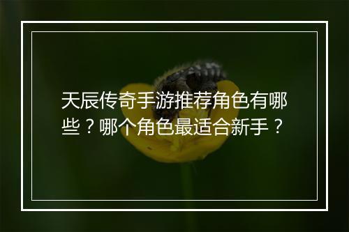天辰传奇手游推荐角色有哪些？哪个角色最适合新手？