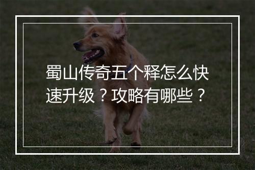 蜀山传奇五个释怎么快速升级？攻略有哪些？