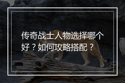 传奇战士人物选择哪个好？如何攻略搭配？