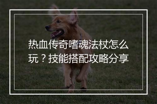 热血传奇嗜魂法杖怎么玩？技能搭配攻略分享